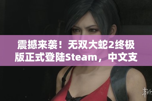 震撼來(lái)襲！無(wú)雙大蛇2終極版正式登陸Steam，中文支持再升級(jí)